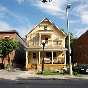 Backpackers Albergue