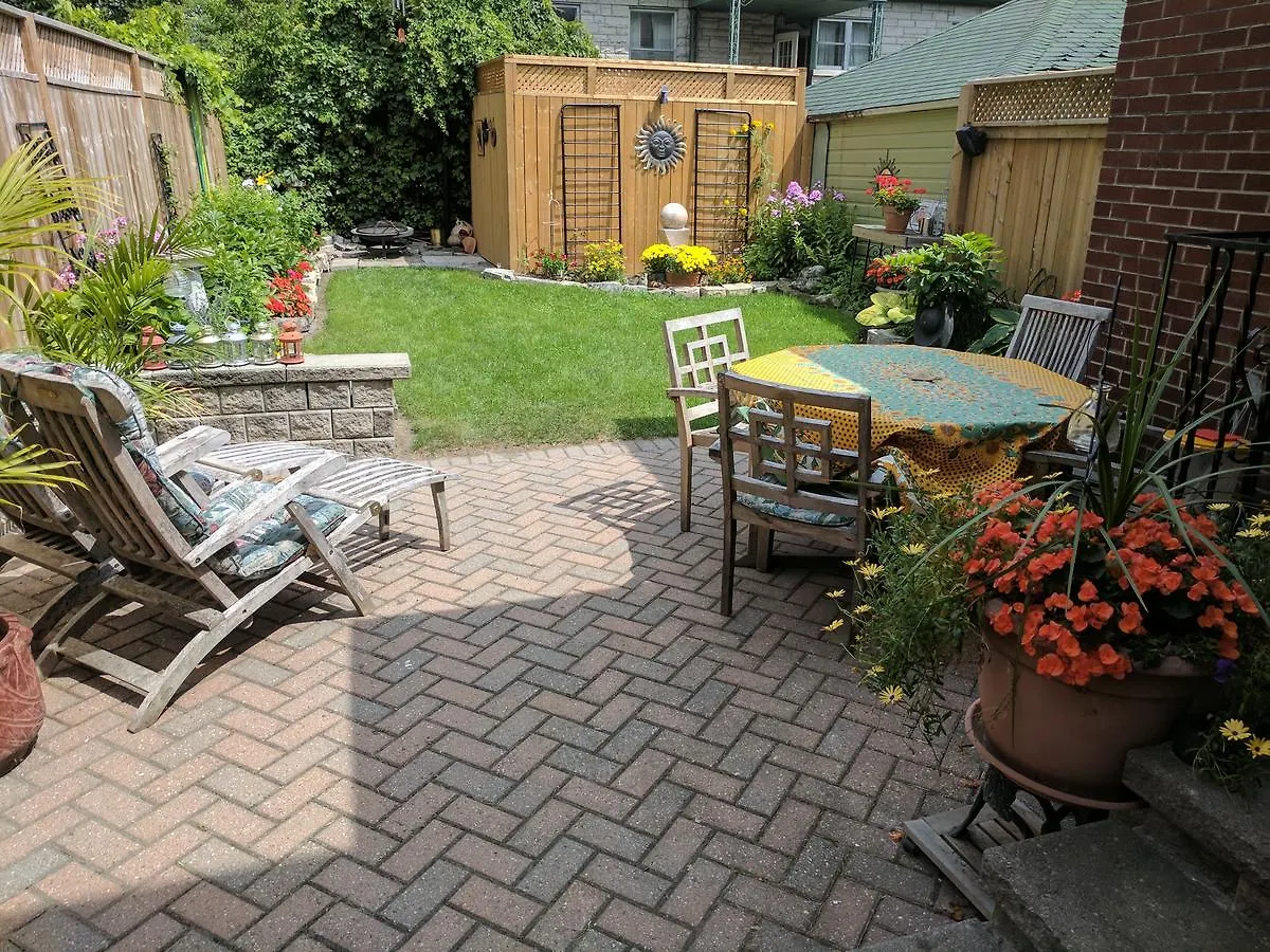 Elcho Explores Ottawa Apartment